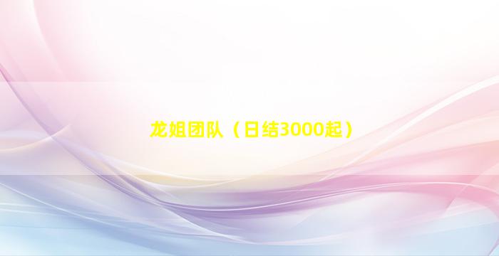 龙姐团队（日结3000起）